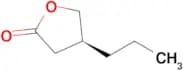 (S)-4-Propyldihydrofuran-2(3H)-one