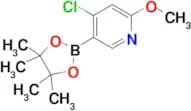 4-Chloro-2-methoxy-5-(4,4,5,5-tetramethyl-1,3,2-dioxaborolan-2-yl)pyridine