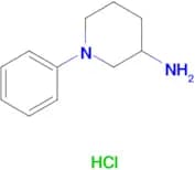 1-Phenylpiperidin-3-amine hydrochloride