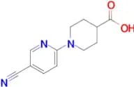 1-(5-Cyano-2-pyridinyl)-4-piperidinecarboxylic acid