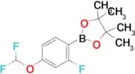2-(4-(Difluoromethoxy)-2-fluorophenyl)-4,4,5,5-tetramethyl-1,3,2-dioxaborolane