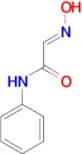 (2E)-2-(N-hydroxyimino)-N-phenylacetamide