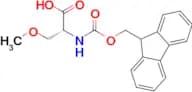 N-(((9H-fluoren-9-yl)methoxy)carbonyl)-O-methyl-D-serine