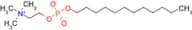 Dodecylphosphocholine