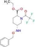 (2S,5R)-ethyl 5-((benzyloxy)amino)-1-(2,2,2-trifluoroacetyl)piperidine-2-carboxylate