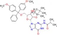 5′-O-DMT-2′-O-iBu-N-Bz-Guanosine