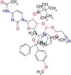 Ac-rC Phosphoramidite