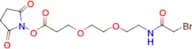 Bromoacetamido-PEG2-C2-NHS ester