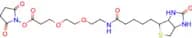 Biotin-PEG2-NHS ester
