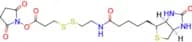 NHS-SS-biotin