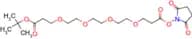 Boc-PEG4-C2-NHS ester
