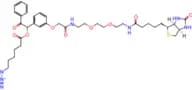 UV Cleavable Biotin-PEG2-Azide