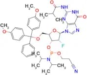 DMT-2’Fluoro-DG(IB) Amidite