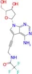 7-TFA-ap-7-Deaza-dA