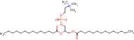 1,2-DImyristoyl-rac-glycero-3-phosphocholine