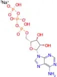 ATP (disodium salt)