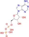 Adenosine 5′-diphosphate