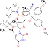 rU Phosphoramidite