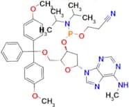 N6-Methyl-dA phosphoramidite