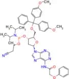 DMT-dA(PAc) Phosphoramidite