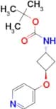 Tert-butyl (trans-3-(pyridin-4-yloxy)cyclobutyl)carbamate