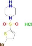1-[(5-bromothiophen-2-yl)sulfonyl]piperazine (hydrochloride)
