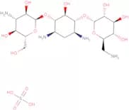 Kanamycin Sulfate, Streptomyces kanamyceticus