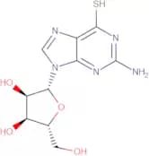 6-Mercaptoguanosine