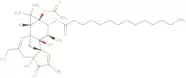Phorbol-12-myristate-13-acetate