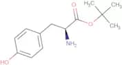 H-Tyr-OtBu