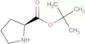 H-Pro-OtBu
