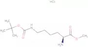 H-Lys(Boc)-OMe.HCl