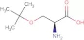 H-Ser(tBu)-OH