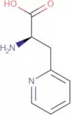 3-(2-Pyridyl)-D-alanine