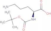 Boc-Orn-OH