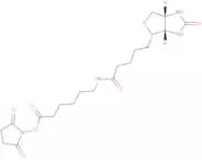 Biotin-X, succinimidyl ester