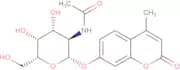 4-Methylumbelliferyl N-acetyl-β-D-galactosaminide