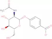 p-Nitrophenyl N-acetyl-β-D-glucosaminide