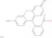 Rhodamine 110