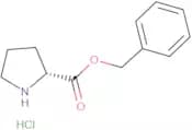 H-D-Pro-OBzl.HCl