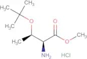 H-Thr(tBu)-OMe.HCl