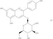 Callistephin chloride
