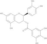 (-) Catechin gallate