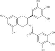 (-)-Gallocatechin gallate