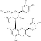 Procyanidin B3