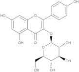 Kaempferol-3-O-glucoside