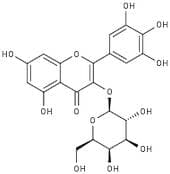 Myricetin-3-O-galactoside