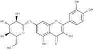 Quercetin-7-O-glucoside