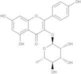 Kaempferol-3-O-rhamnoside