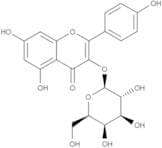 Kaempferol-3-O-galactoside